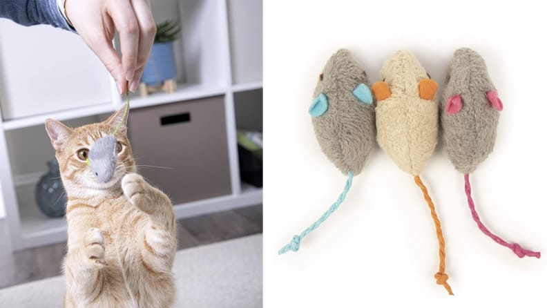 jumping cat toy